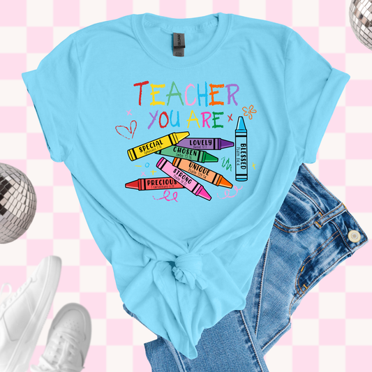 Teacher you are tshirt