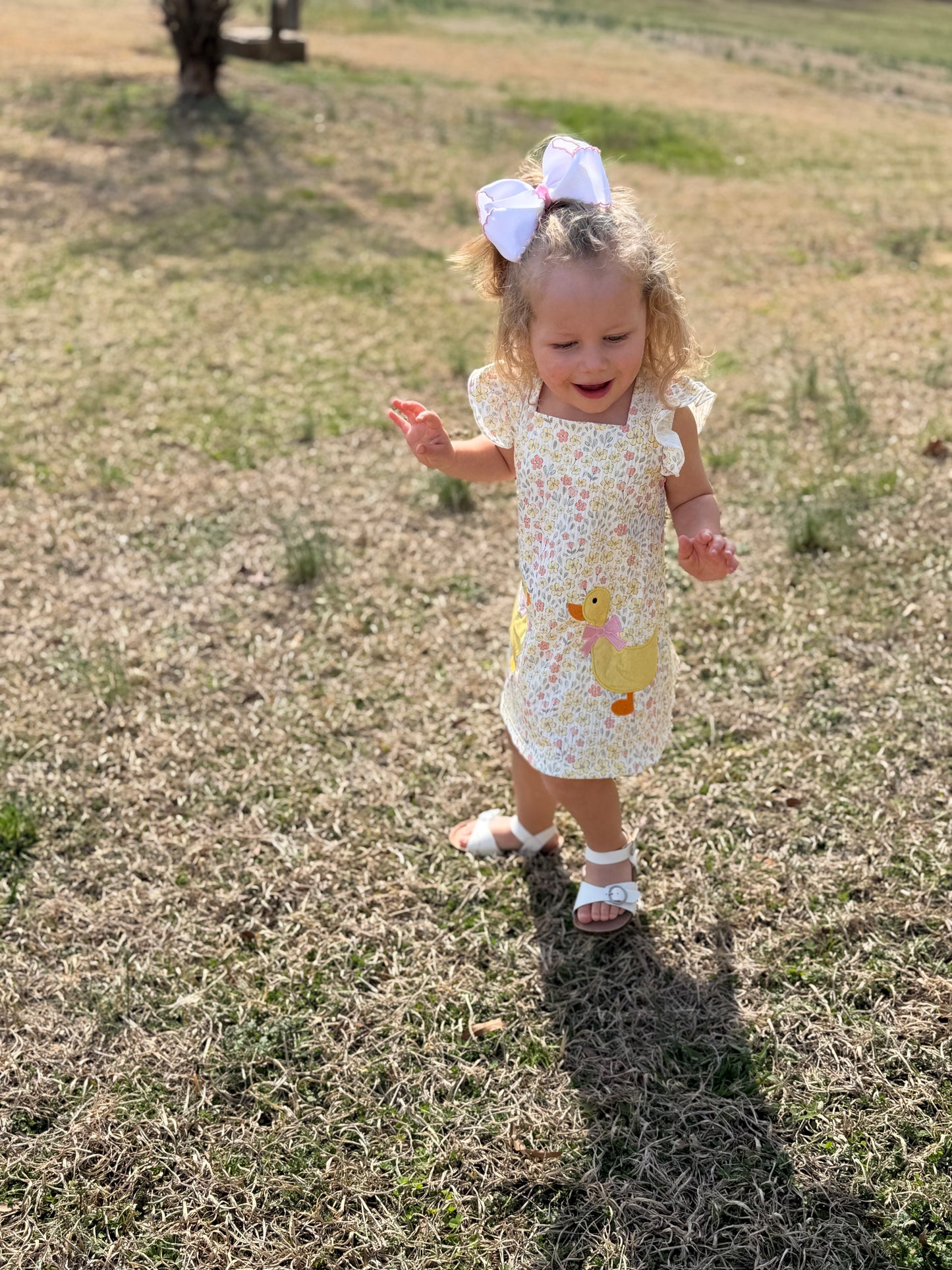Duck Applique Floral Dress - 7Y