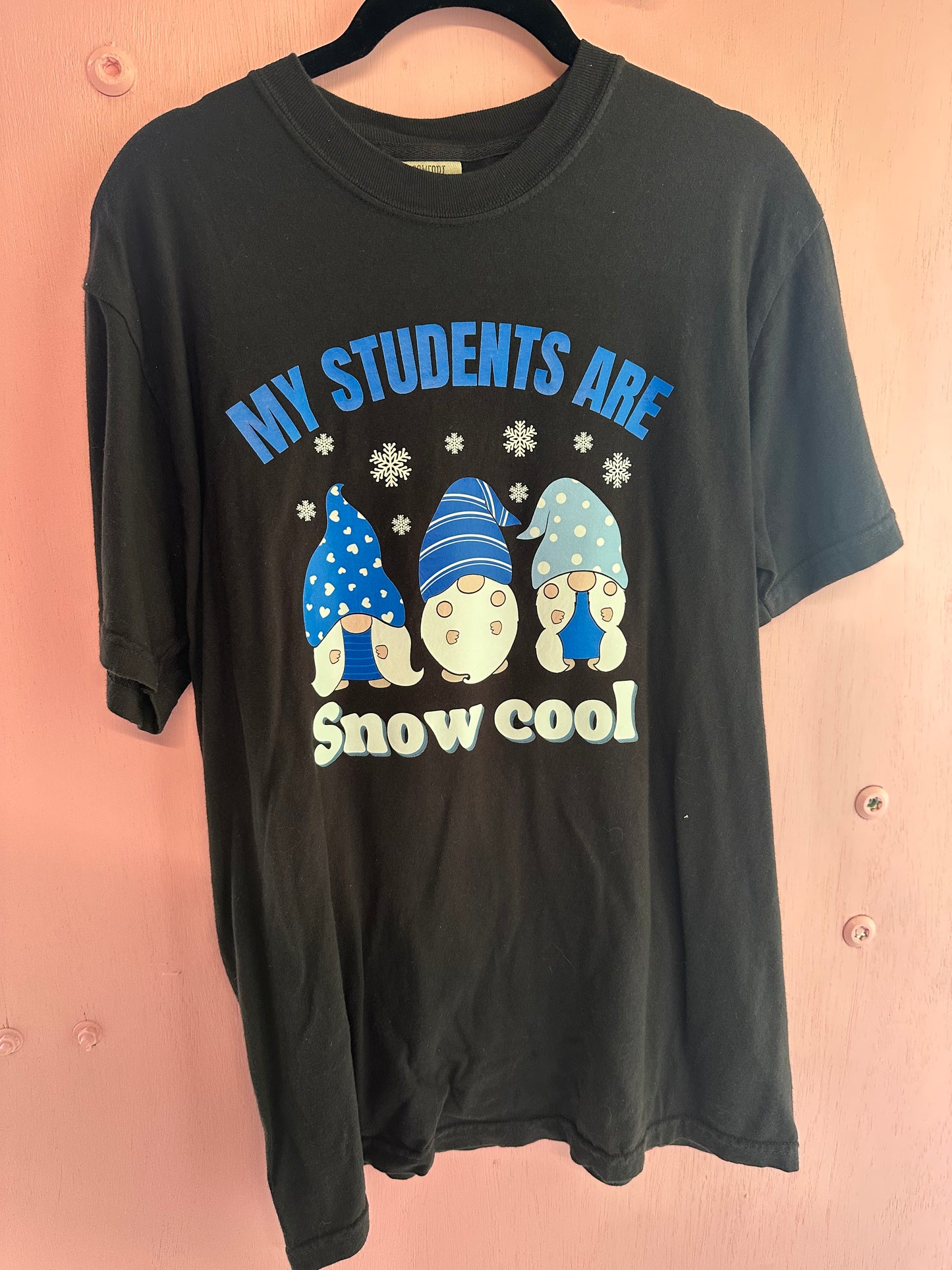 Adult medium snow cool students tshirt