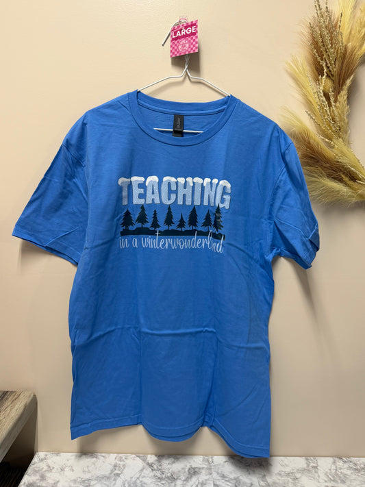 Adult Large teaching winter wonderland tshirt