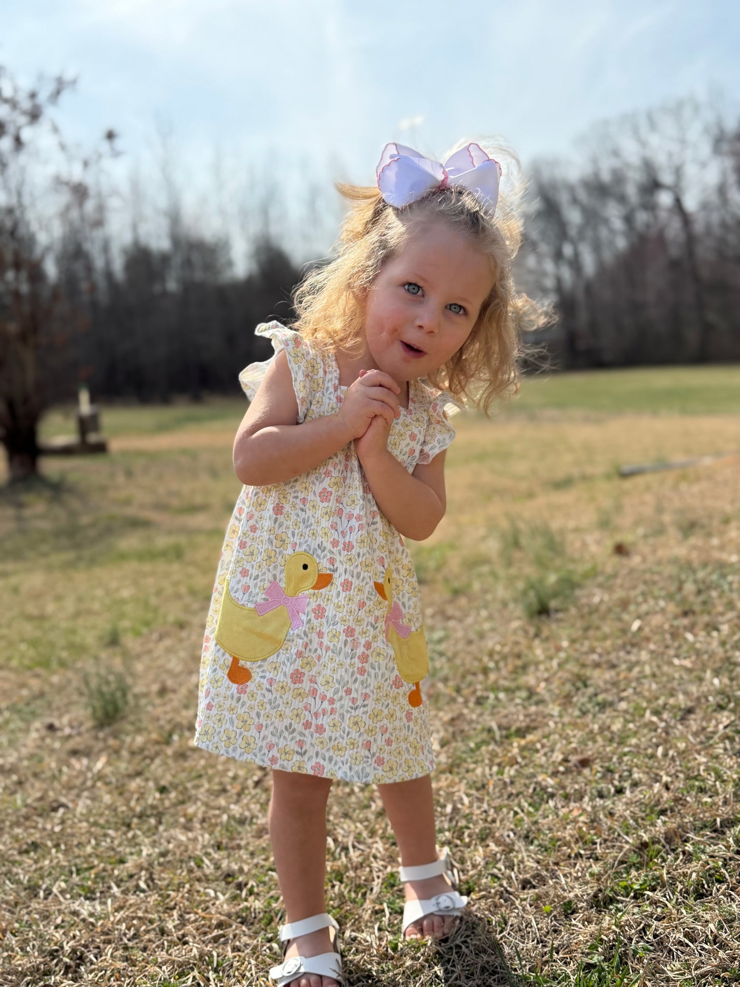Duck Applique Floral Dress - 7Y
