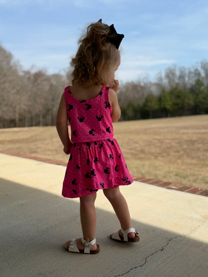 Pink Mouse Skirt Set - 2T
