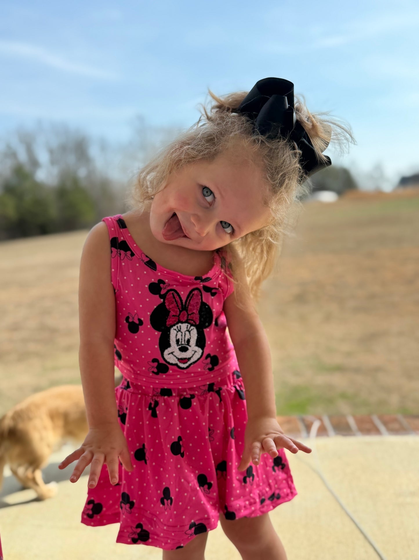 Pink Mouse Skirt Set - 2T