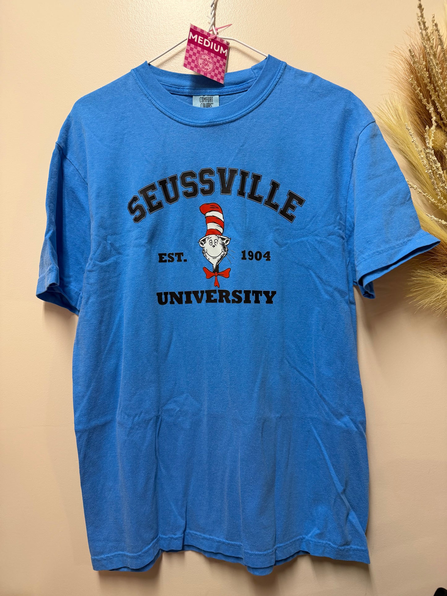 Adult Medium seussville tshirt