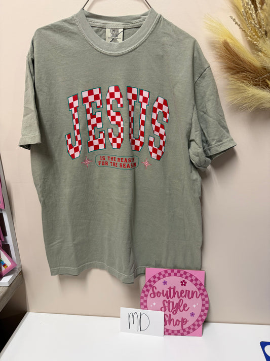 Adult medium Jesus is the reason tshirt